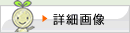 詳細画像