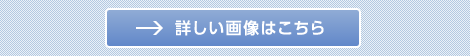 詳しい画像はこちら
